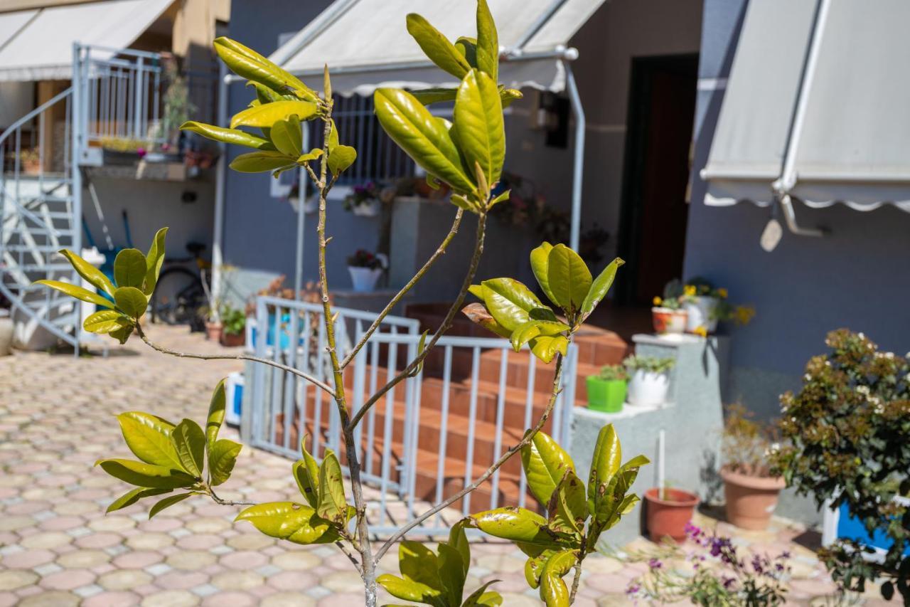 Vila Aulona Vlorë Exteriör bild