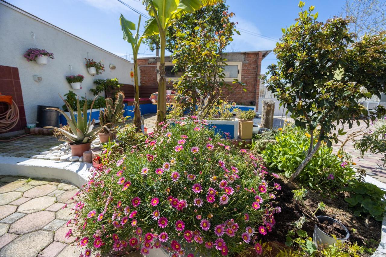 Vila Aulona Vlorë Exteriör bild